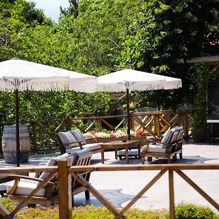 Θέρετρο Mavi At Blue Horse *