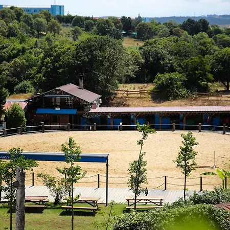 Mavi At Blue Horse Gumusdere