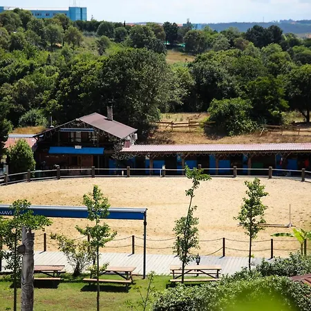 Mavi At Blue Horse Gumusdere