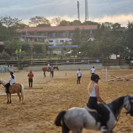 Mavi At Blue Horse * Gumusdere