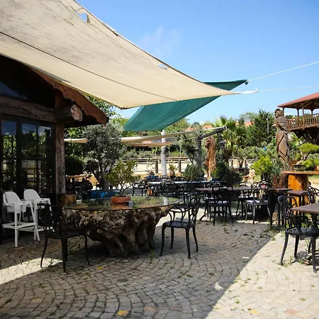 Mavi At Blue Horse Gumusdere