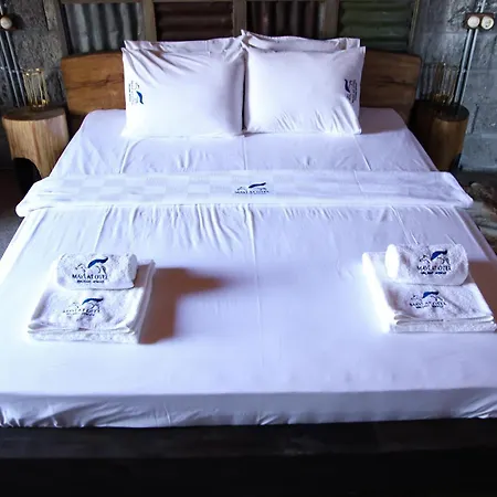 Mavi At Blue Horse Gumusdere