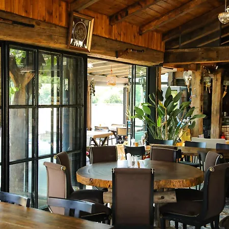 Station touristique Mavi At Blue Horse