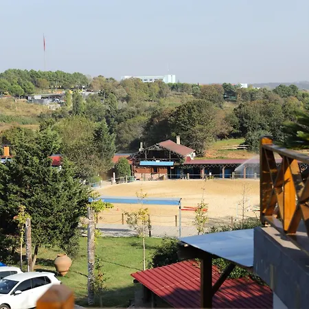 Mavi At Blue Horse Resort