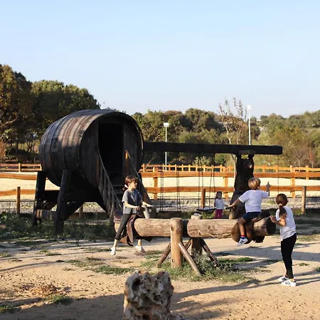 Mavi At Blue Horse *