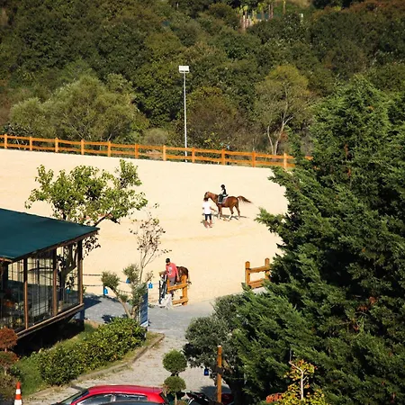 Θέρετρο Mavi At Blue Horse *