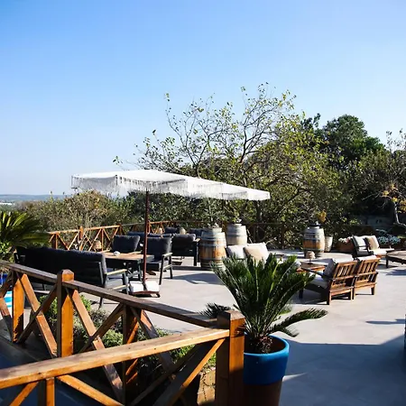 Mavi At Blue Horse Resort