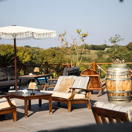 Resort Mavi At Blue Horse *