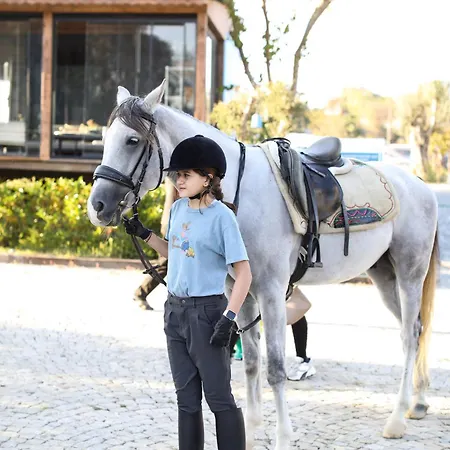 Mavi At Blue Horse Θέρετρο