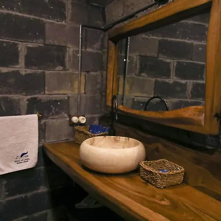 Mavi At Blue Horse * Gumusdere