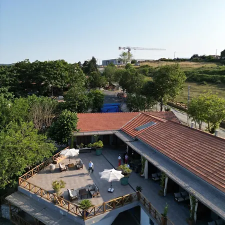 Mavi At Blue Horse Θέρετρο