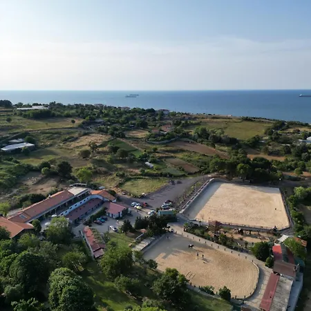 Mavi At Blue Horse Gumusdere