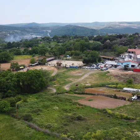 Mavi At Blue Horse Θέρετρο Gumusdere