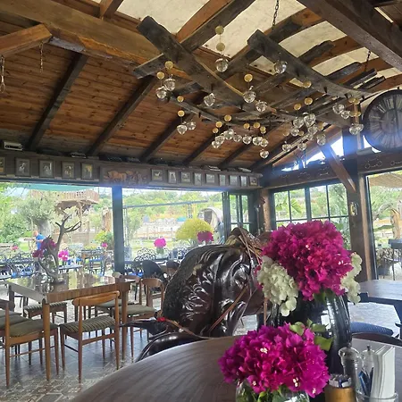Mavi At Blue Horse Gumusdere