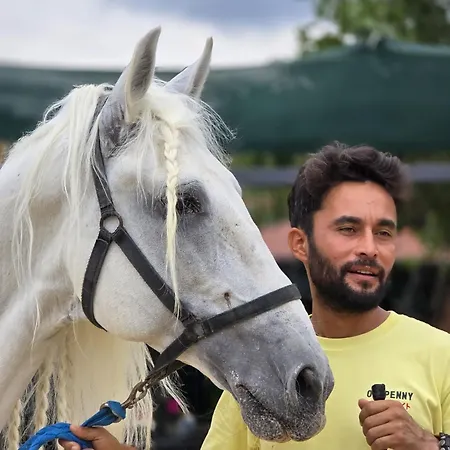 Mavi At Blue Horse Resort *