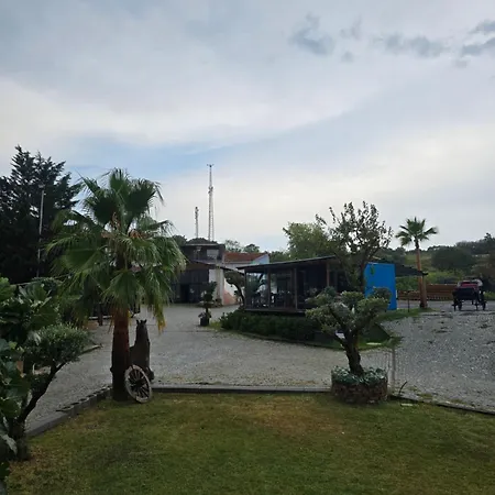 Mavi At Blue Horse Resort